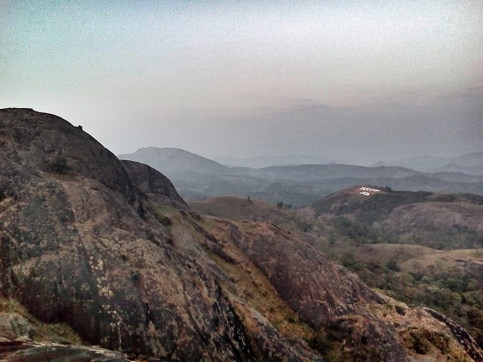 Painavu (Idukki) — local market for multi-vendor marketplaces