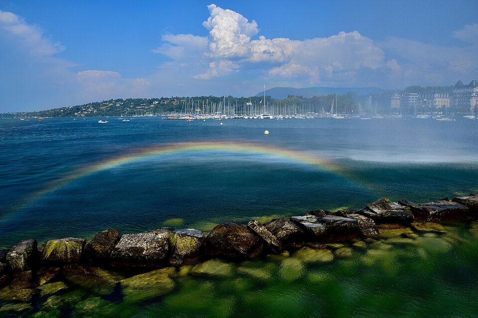 Geneva — B2B and wholesale portals for local businesses
