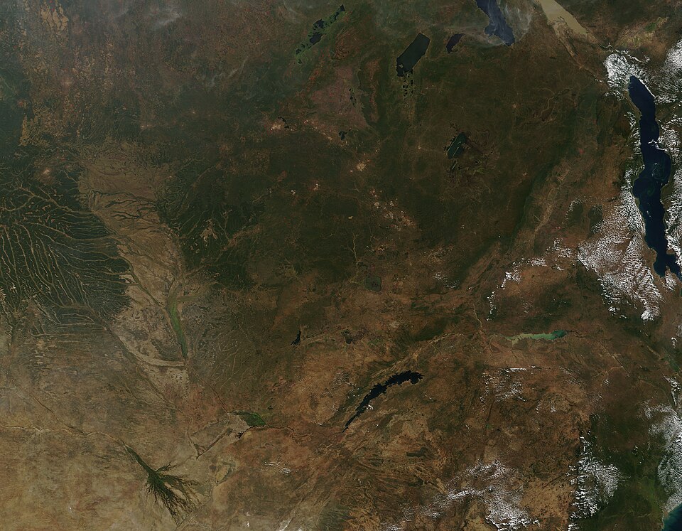 Central African Republic — local market for B2B and wholesale portals