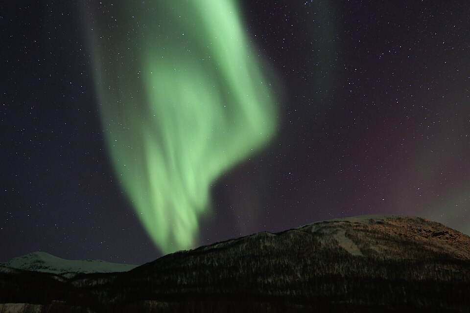 Bodø — service booking platforms for local businesses