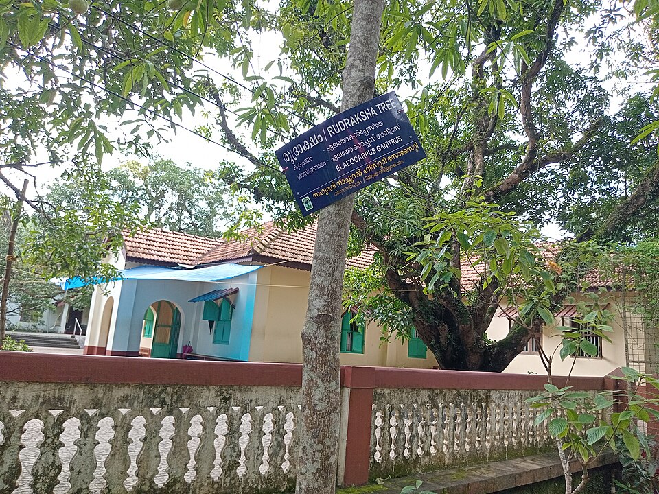 Kasaragod — mobile commerce apps for local businesses