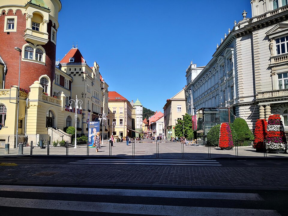 Celje — multi-vendor marketplaces for local businesses