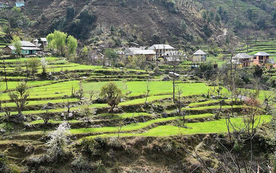 Mandi — multi-vendor marketplaces for local businesses