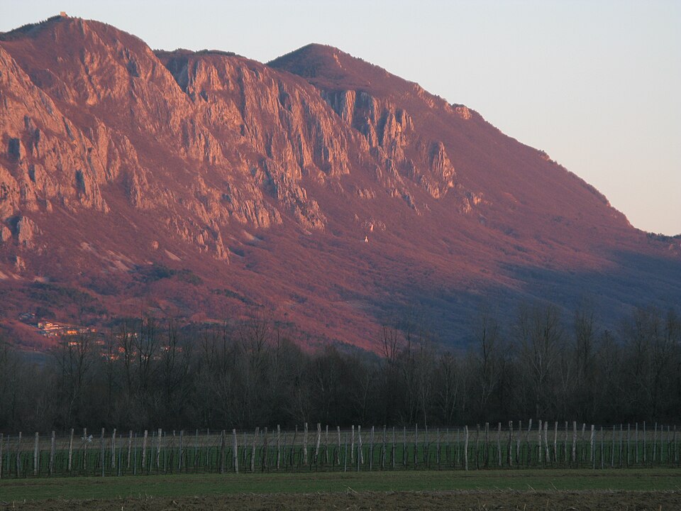 Slovenia — subscription and membership platforms for local businesses