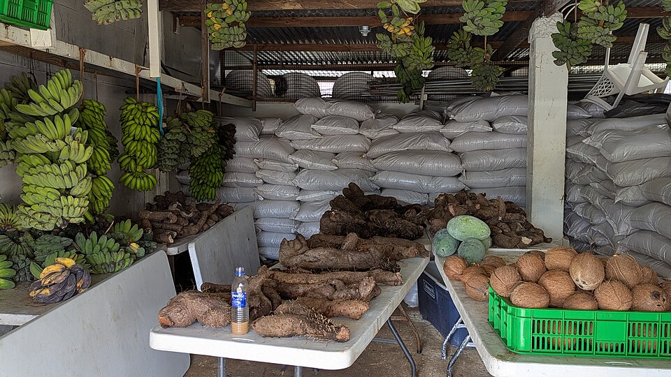 Kolonia — multi-vendor marketplaces for local businesses