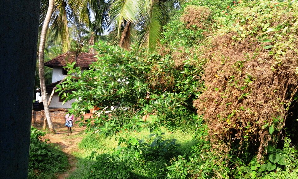 Tirur — local market for service booking platforms
