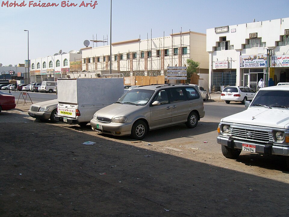Al Ain — local market for service booking platforms