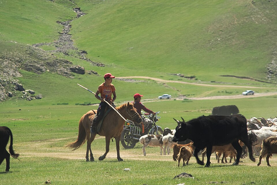 Mongolia — subscription and membership platforms for local businesses