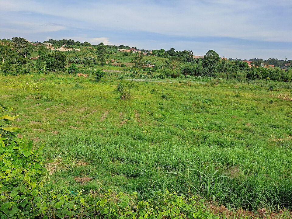 Wakiso — multi-vendor marketplaces for local businesses