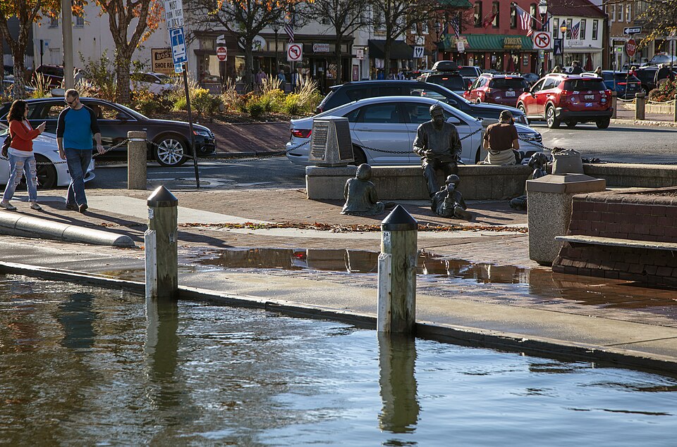 Annapolis — multi-vendor marketplaces for local businesses