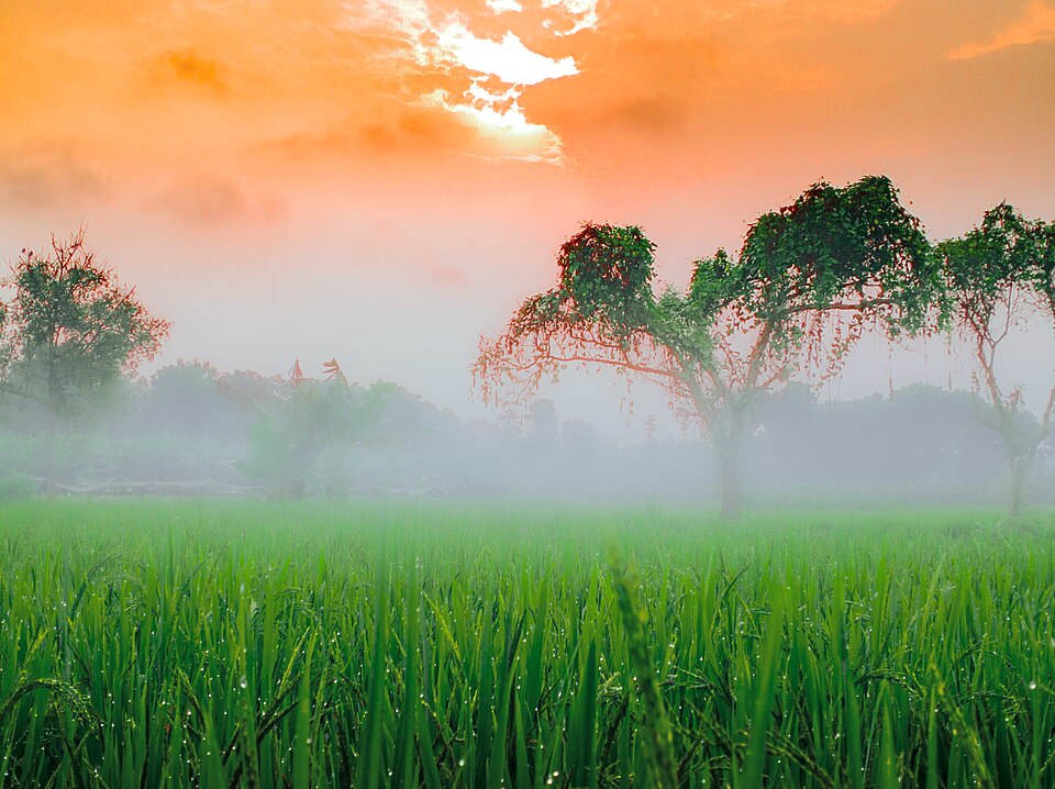Bangladesh — local market for mobile commerce apps