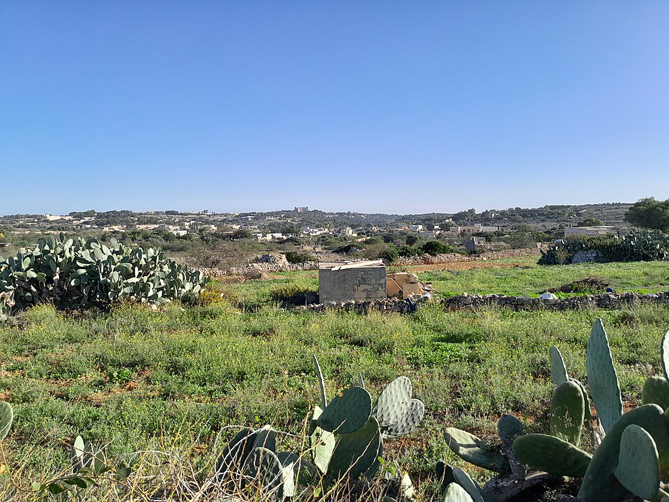 Malta — online stores for local businesses