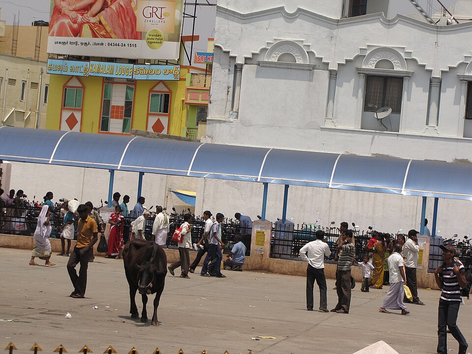 Hosur — service booking platforms for local businesses