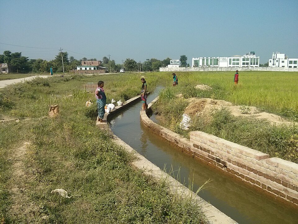 Biratnagar — local market for multi-vendor marketplaces