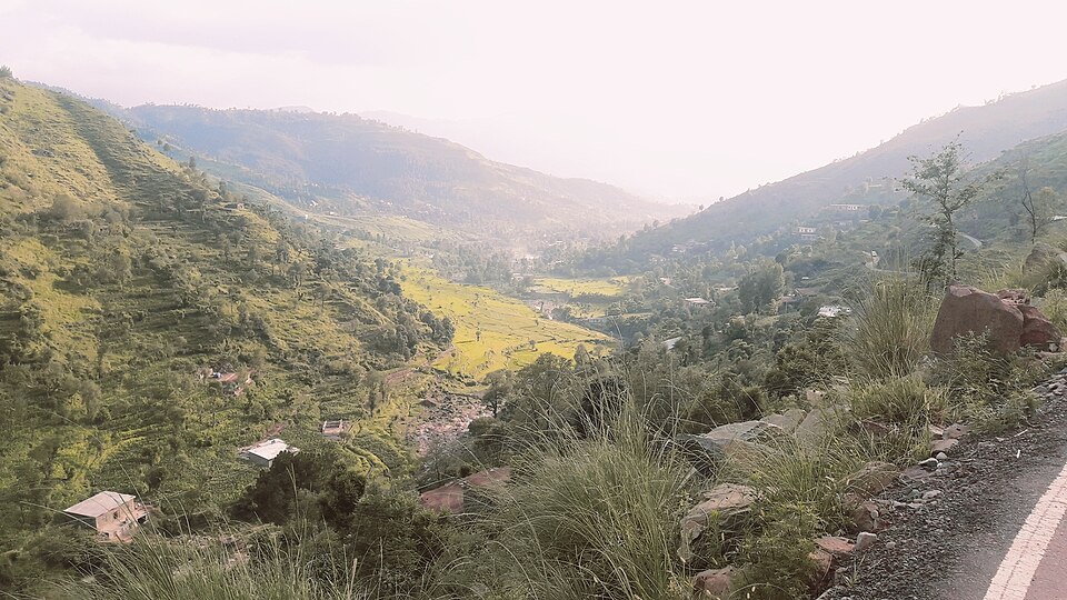 Poonch — local market for multi-vendor marketplaces