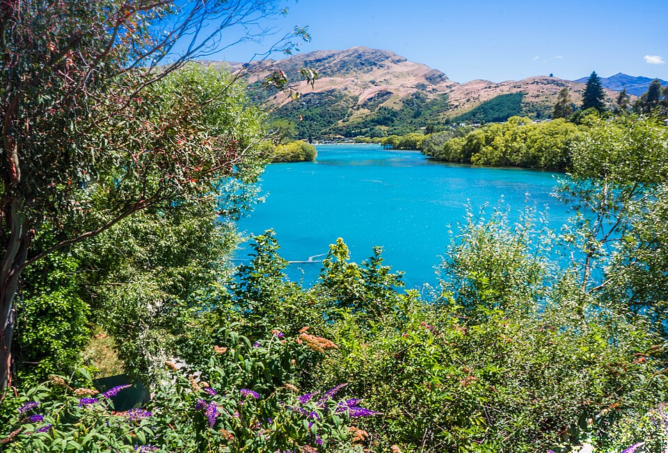 Queenstown — custom e-commerce platforms for local businesses