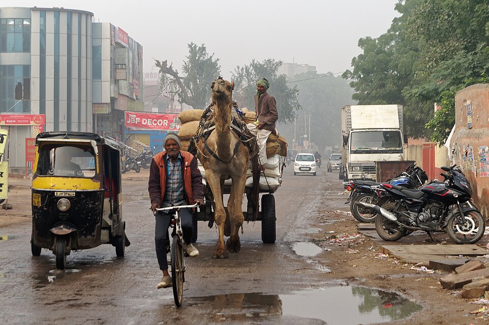 Bikaner — local market for service booking platforms