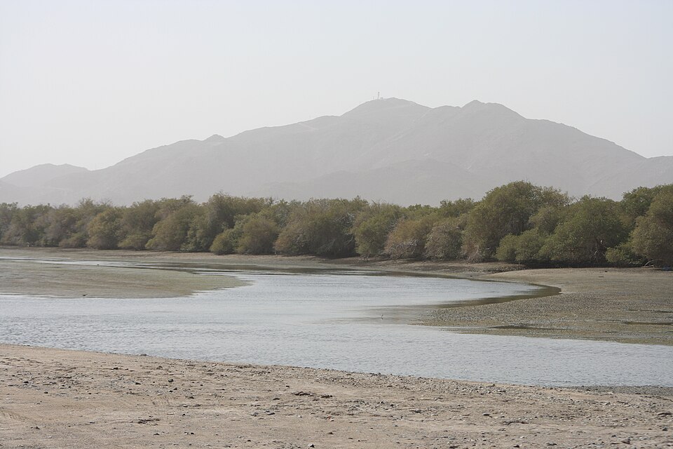 Kalba — local market for B2B and wholesale portals