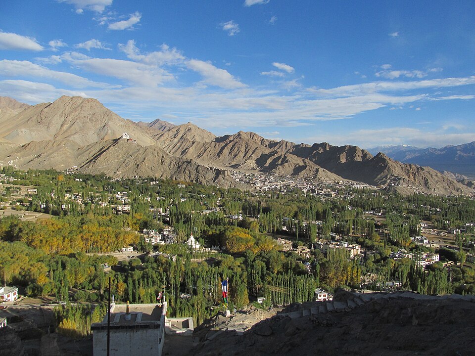 Leh — local market for online stores