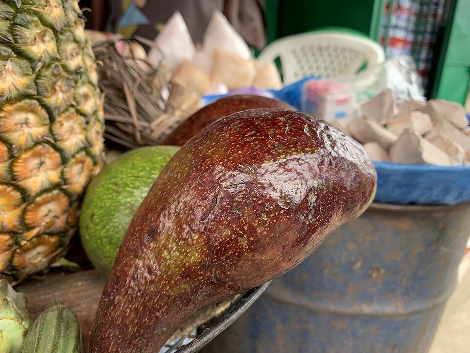 Gabon — local market for subscription and membership platforms