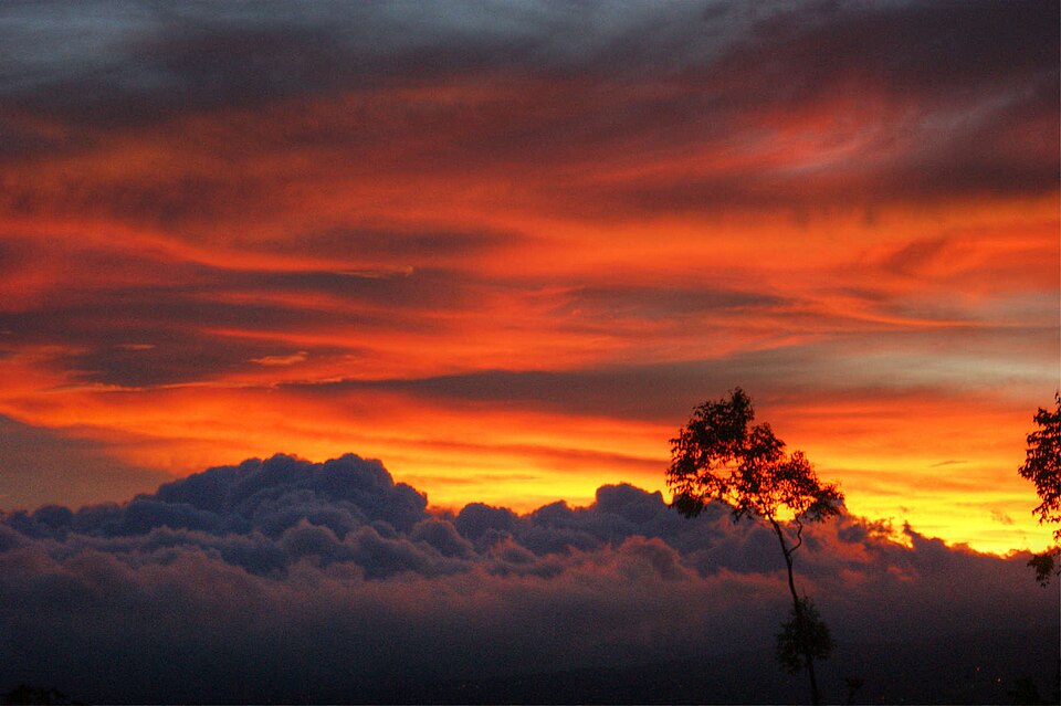 Costa Rica — local market for manufacturer and distributor portals