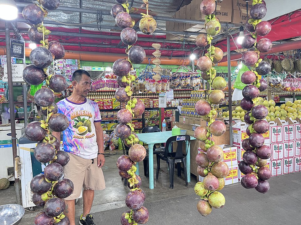 Davao City — local market for custom e-commerce platforms