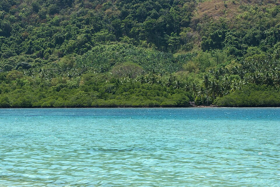 Philippines — multi-vendor marketplaces for local businesses