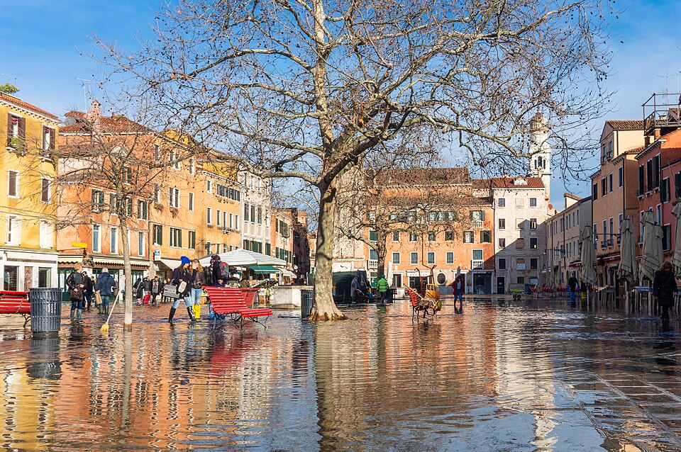 Venice — service booking platforms for local businesses
