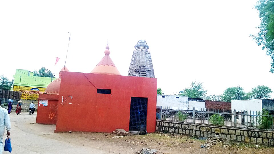 Janjgir — local market for service booking platforms