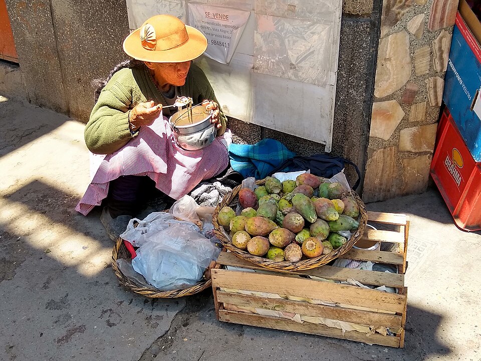 Huancayo — subscription and membership platforms for local businesses