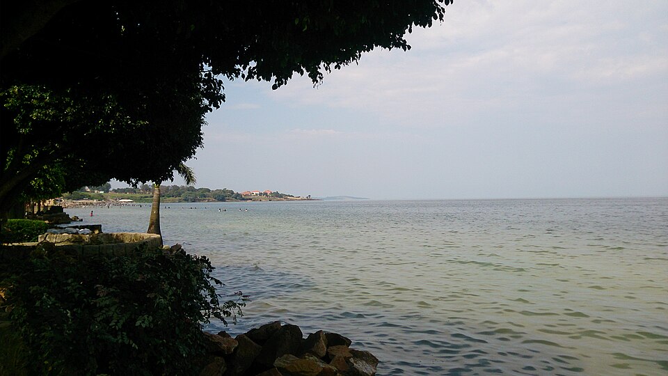 Entebbe — local market for manufacturer and distributor portals