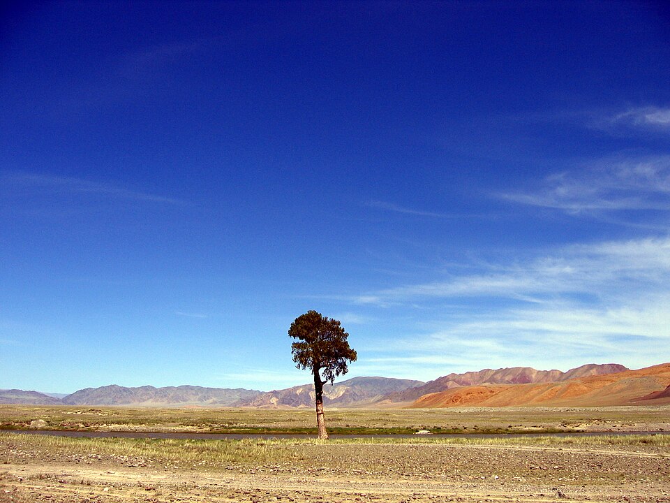 Mongolia — local market for international and multi-region stores