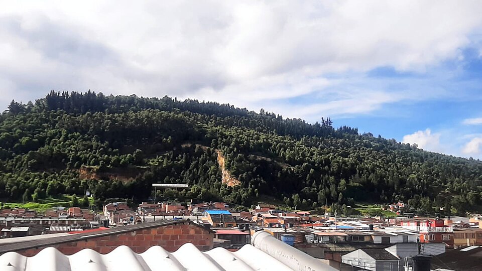 Colombia — multi-vendor marketplaces for local businesses