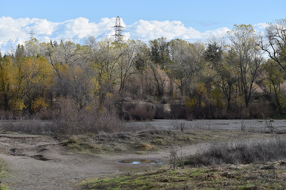 Sacramento — multi-vendor marketplaces for local businesses