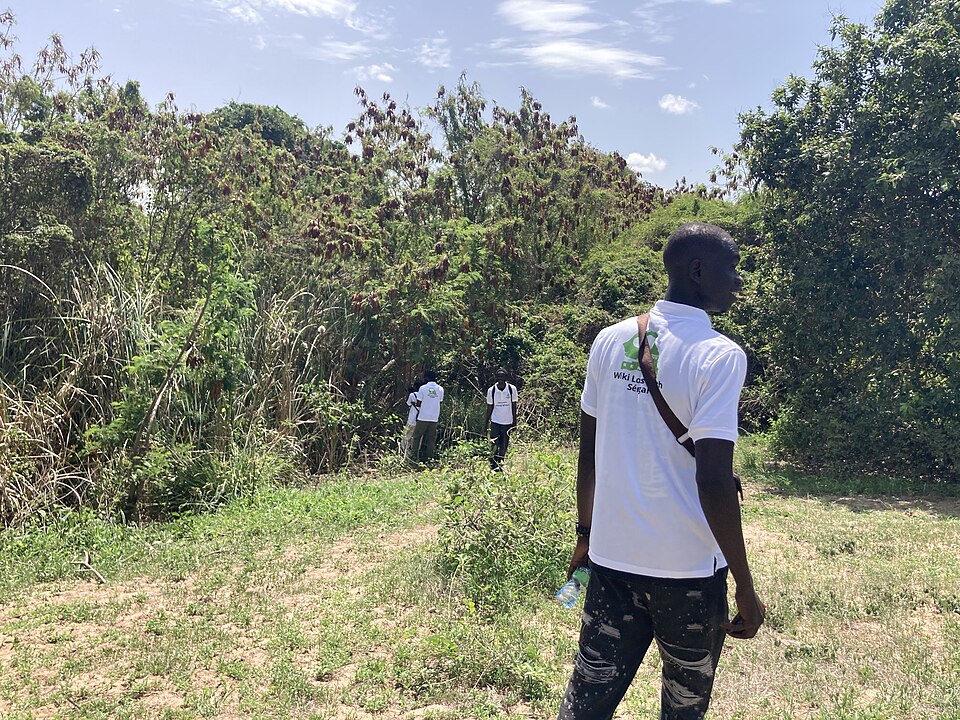 Senegal — multi-vendor marketplaces for local businesses