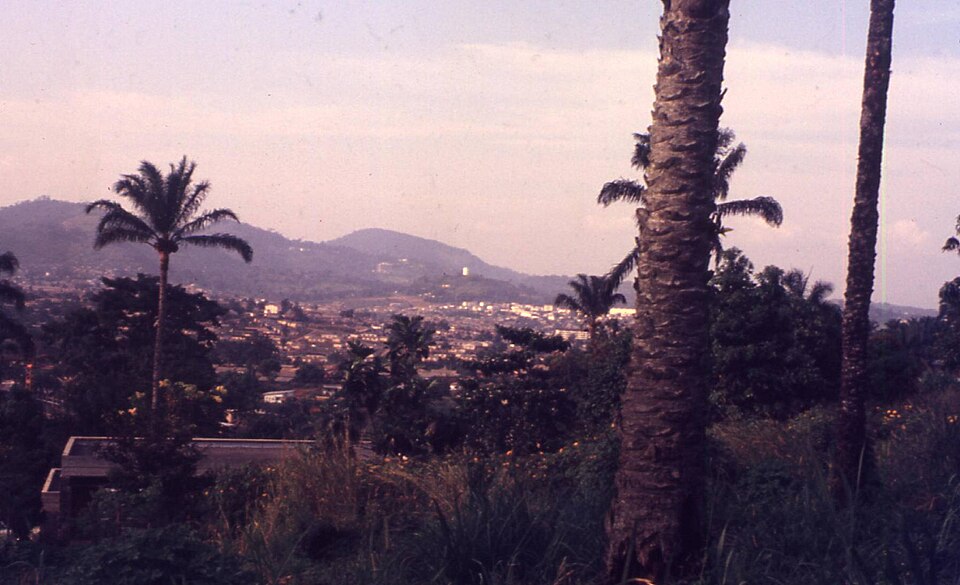 Yaoundé — international and multi-region stores for local businesses