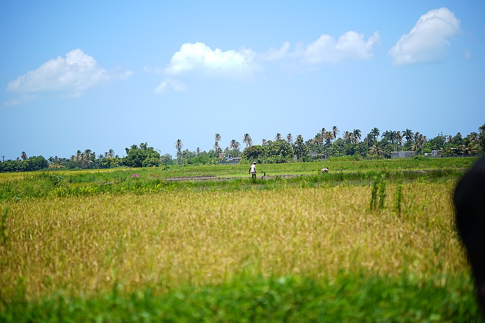 Les Cayes — local market for manufacturer and distributor portals