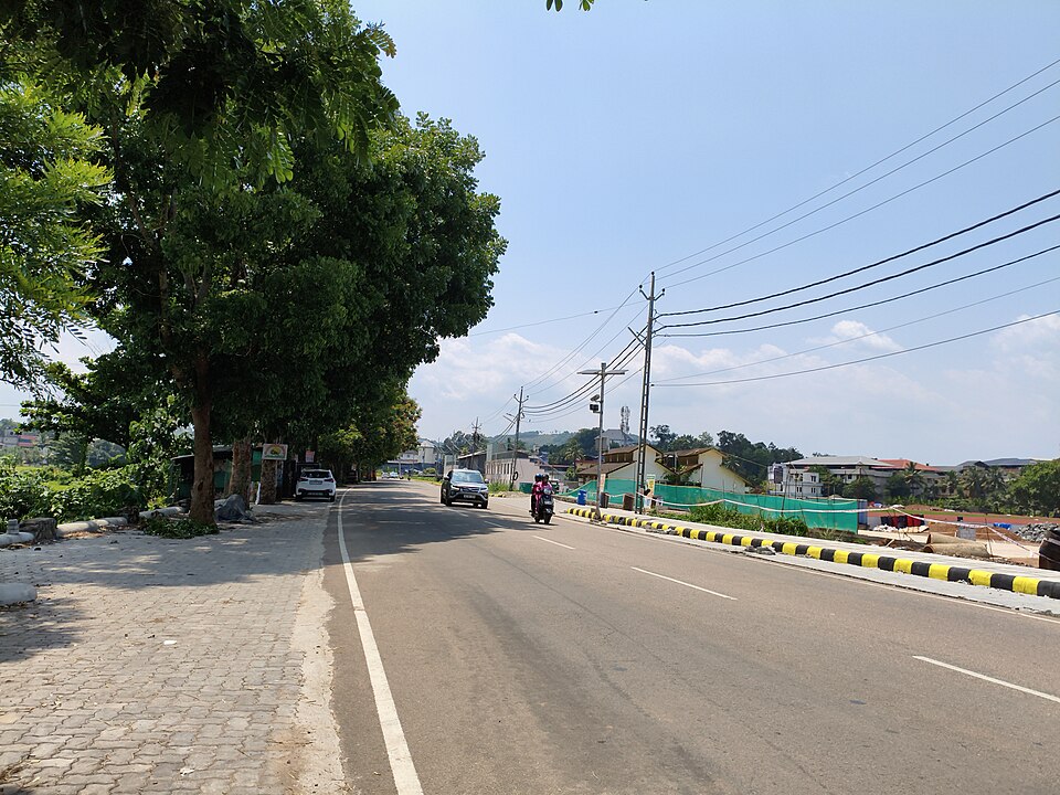 Pathanamthitta — local market for service booking platforms