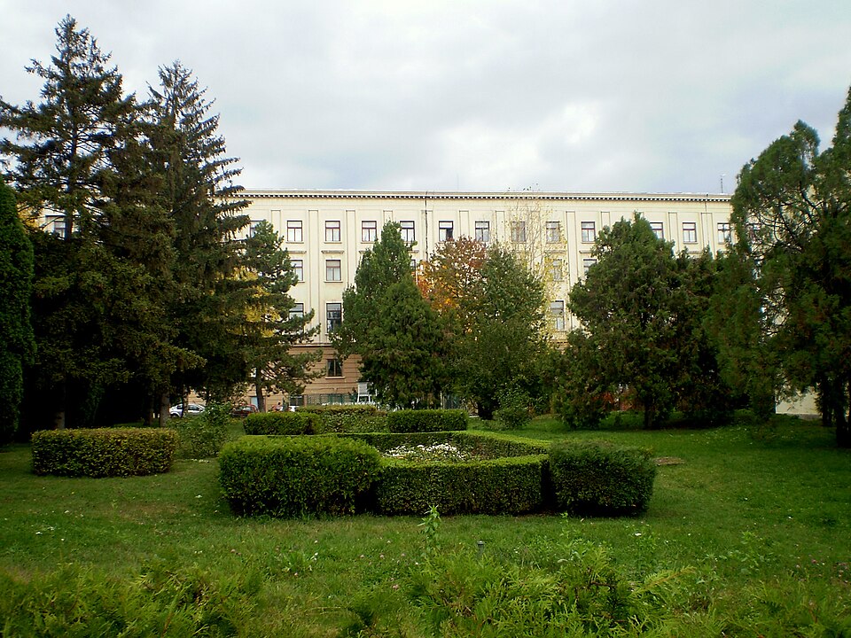 Iași — multi-vendor marketplaces for local businesses