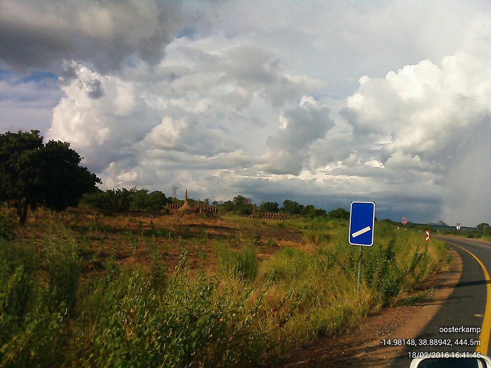 Nampula — local market for service booking platforms