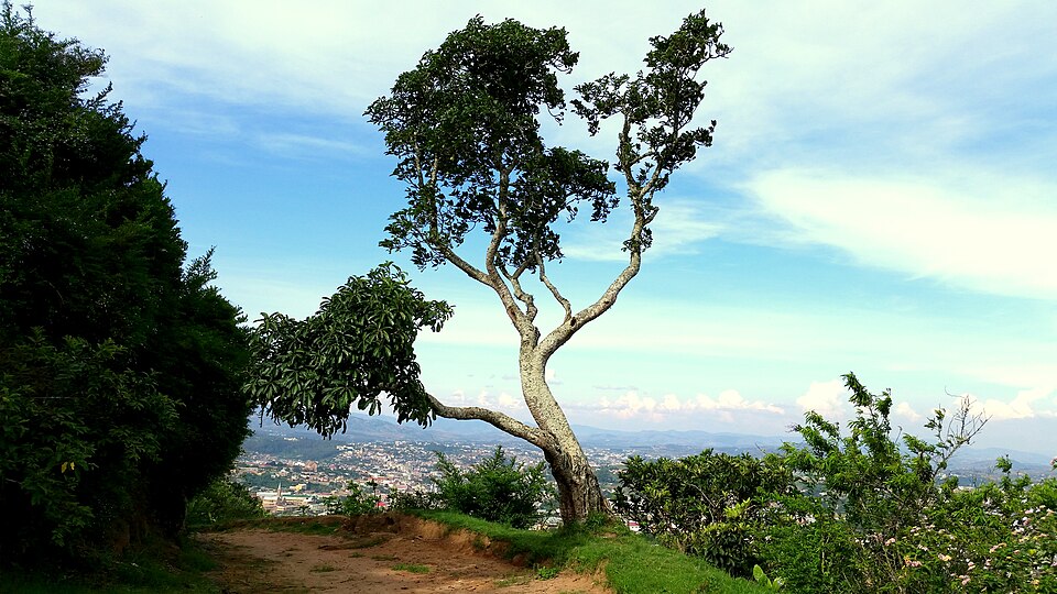 Fianarantsoa — manufacturer and distributor portals for local businesses