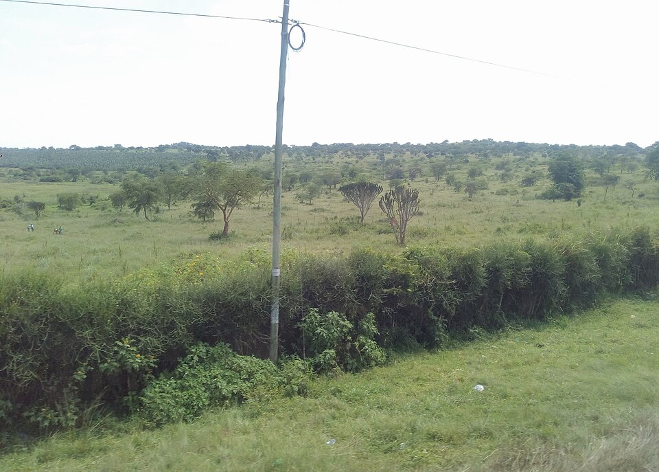 Masaka — manufacturer and distributor portals for local businesses