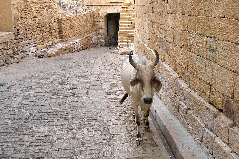 Jaisalmer — service booking platforms for local businesses