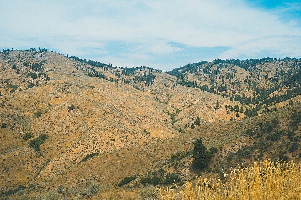 Boise — local market for B2B and wholesale portals