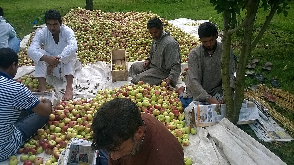 Ganderbal — local market for subscription and membership platforms