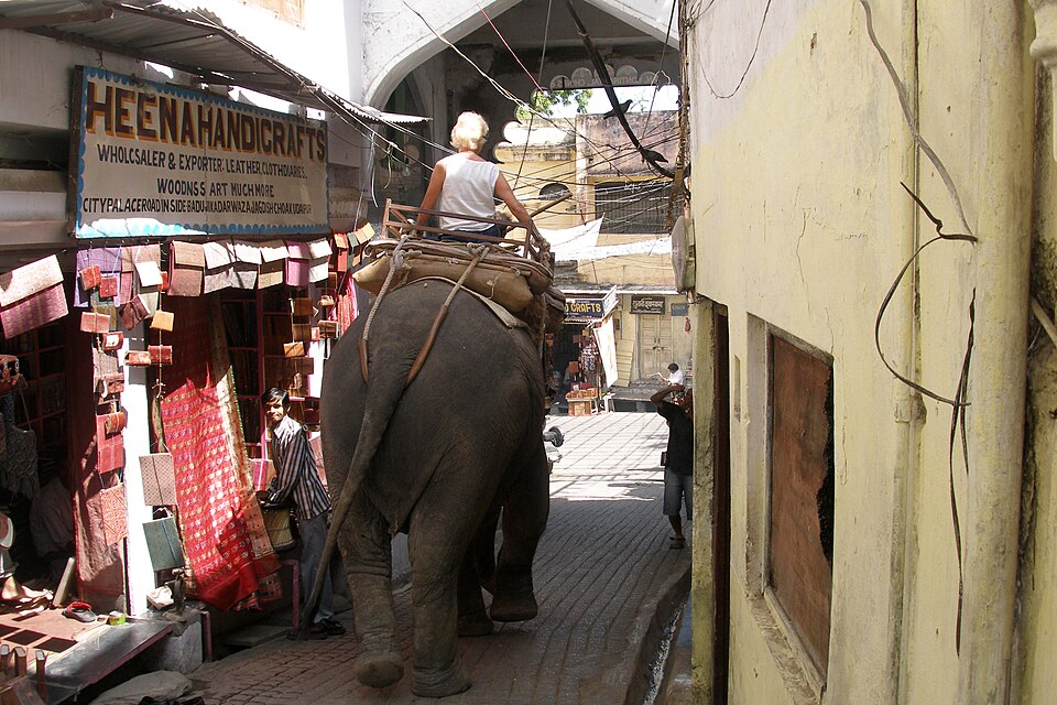Udaipur — international and multi-region stores for local businesses