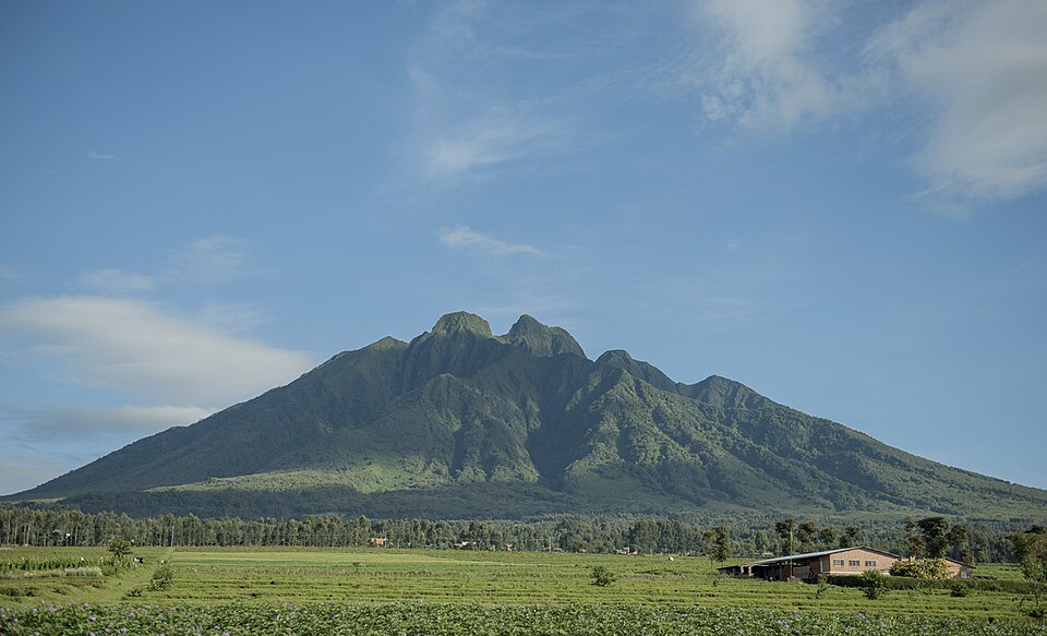 Musanze — manufacturer and distributor portals for local businesses
