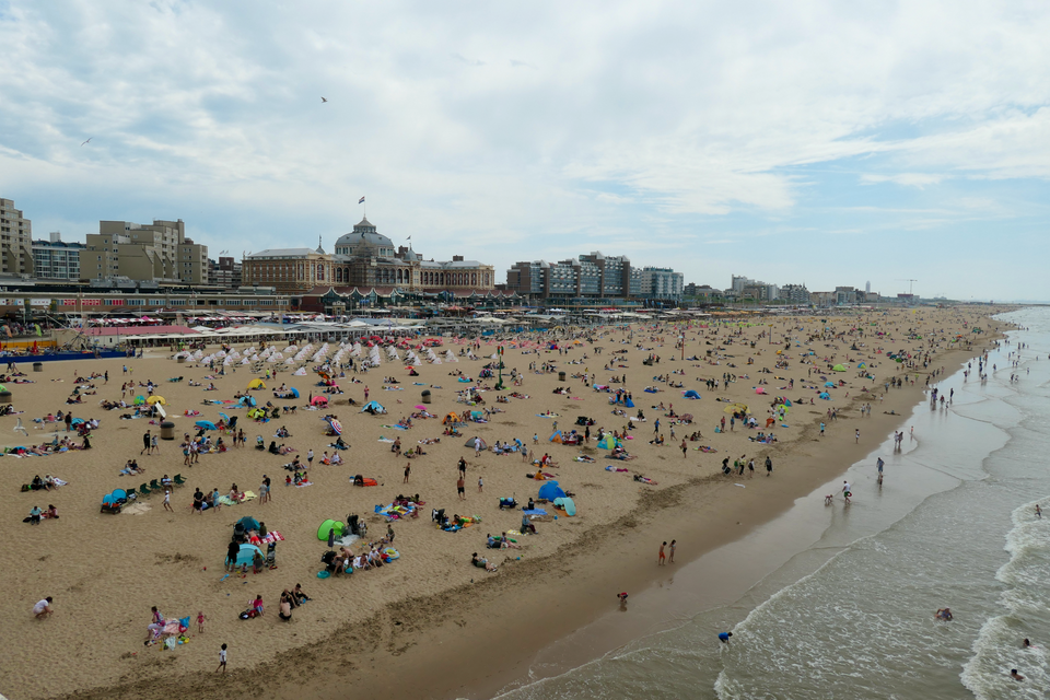 The Hague — local market for service booking platforms