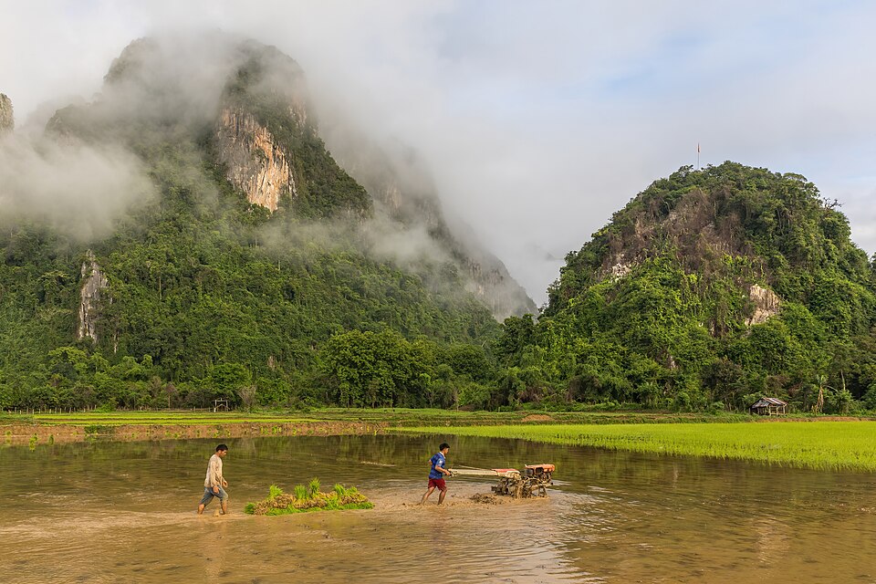 Laos — custom e-commerce platforms for local businesses