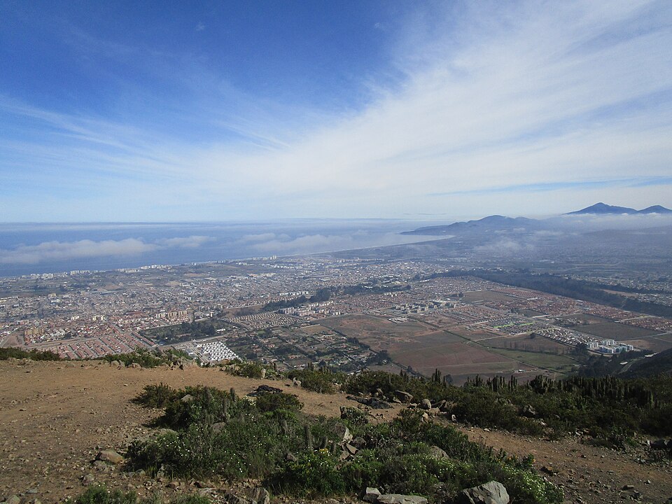 La Serena — local market for subscription and membership platforms